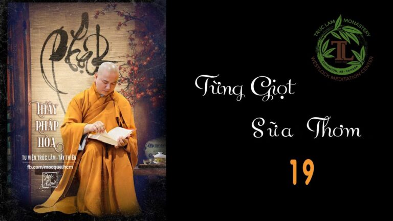 Từng Giọt Sữa Thơm 19 – Thầy Thích Pháp Hòa ( Tv Trúc Lâm, Ngày 8.5.2020 )