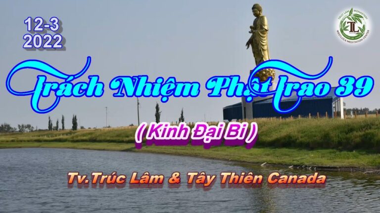 Trách Nhiệm Phật Trao 39 – Thầy Thích Pháp Hòa (Tv Trúc Lâm, Ngày 12.3.2022)