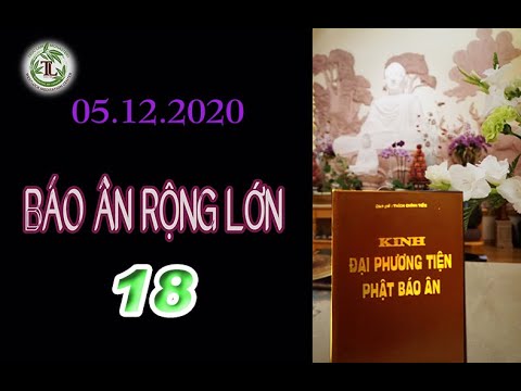 Báo Ân Rộng Lớn 18 – Thầy Thích Pháp Hòa (Tv Trúc Lâm,ngày 05.12.2020)