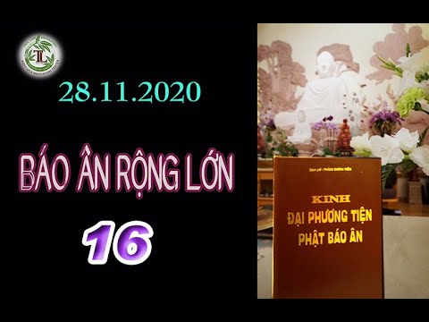 Báo Ân Rộng Lớn 16 -Thầy Thích Pháp Hòa (Tv Trúc Lâm, Ngày 28.11.2020)