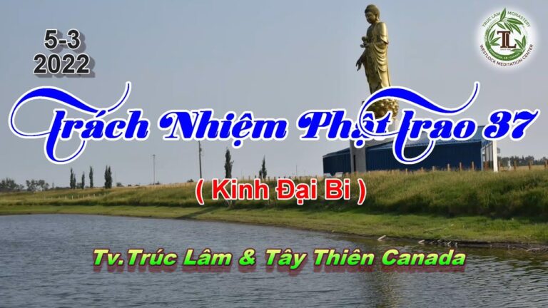 Trách Nhiệm Phật Trao 37 – Thầy Thích Pháp Hòa (Tv.Trúc Lâm.5.3.2022)