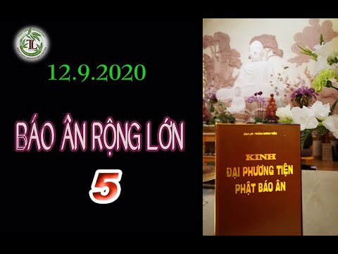 Báo Ân Rộng Lớn 05 – Thầy Thích Pháp Hòa (Tv Trúc Lâm, Ngày 12.9.2020)