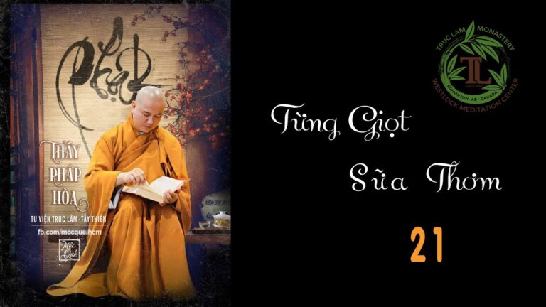 Từng Giọt Sữa Thơm 21 – Thầy Thích Pháp Hòa (Tv Trúc Lâm, Ngày 2.6.2020)