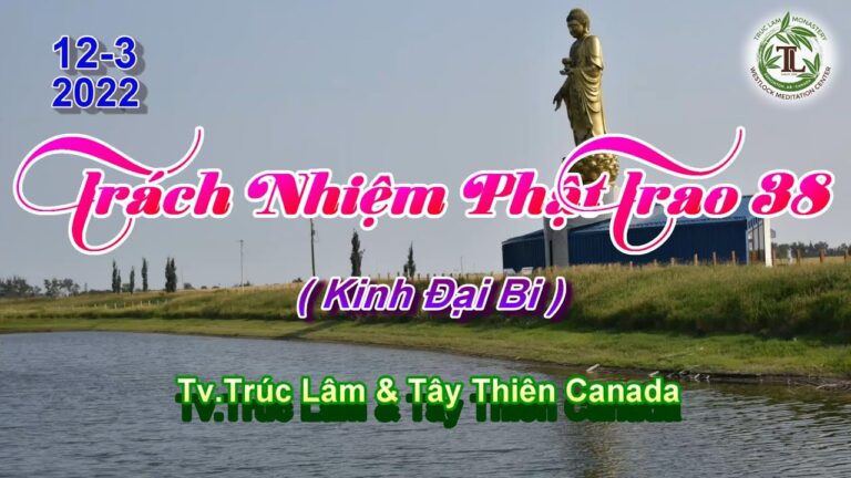 Trách Nhiệm Phật Trao 38 – Thầy Thích Pháp Hòa (Tv Trúc Lâm, Ngày 12.3.2022)