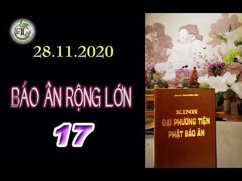 Báo Ân Rộng Lớn 17 – Thầy Thích Pháp Hòa (Tv Trúc Lâm,ngày 28.11.2020)