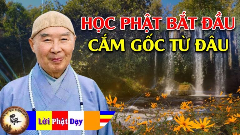 Học Phật bắt đầu cắm gốc từ đâu? Hòa Thượng Tịnh Không | Phật Pháp Nhiệm Màu