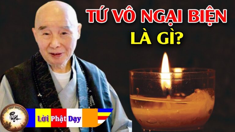 TỨ VÔ NGẠI BIỆN là gì? Hòa Thượng Tịnh Không | Phật Pháp Nhiệm Màu