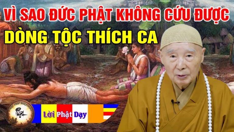 Vì sao Đức Phật không cứu được dòng tộc Thích Ca? Nhân Quả Nghiệp Báo – Pháp Sư Tịnh Không Giảng