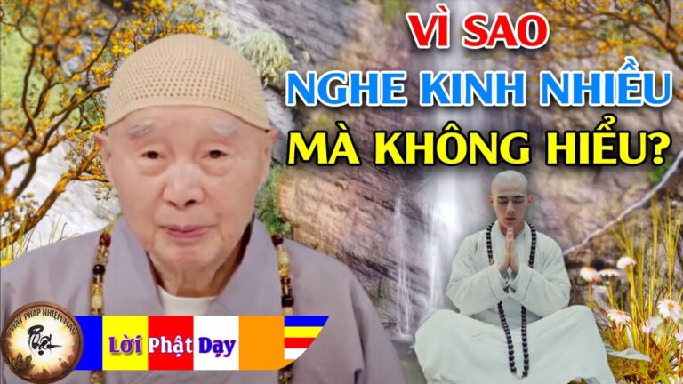 Vì sao nghe Kinh nhiều mà vẫn không hiểu? Hòa Thượng Tịnh Không | Phật Pháp Nhiệm Màu