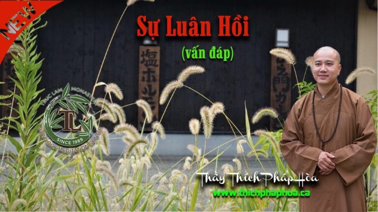 Sự Luân Hồi (vấn đáp) – Thầy Thích Pháp Hòa