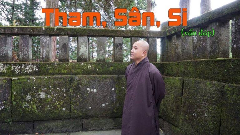 Tham, Sân, Si, là gì? (vấn đáp) – Thầy Thích Pháp Hòa