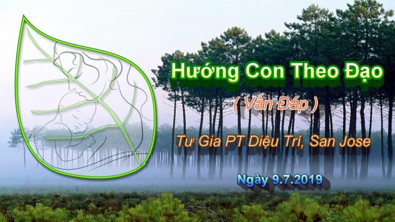 Hướng Con Theo Đạo  ( Vấn Đáp ) – Thầy Thích Pháp Hòa ( Tư Gia Pt Diệu Trí San Jose, ngày 9.7.2019 )