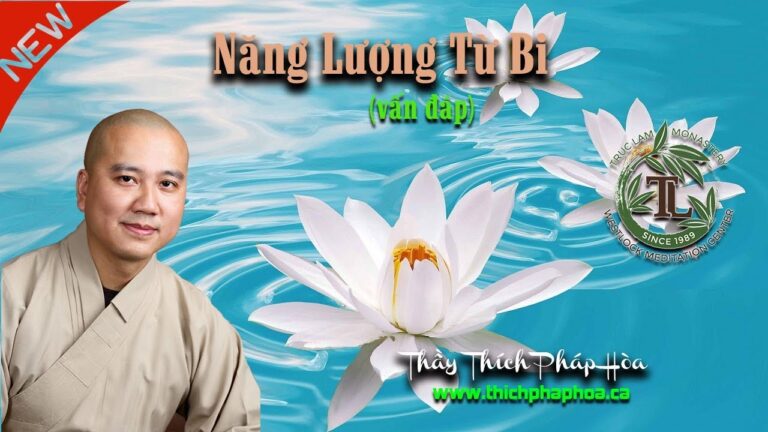 Thế nào là Năng Lượng Từ Bi (vấn đáp) – Thầy Thích Pháp Hòa