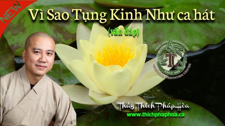 Vì sao tụng kinh như ca hát? (vấn đáp) Thầy Thích Pháp Hòa