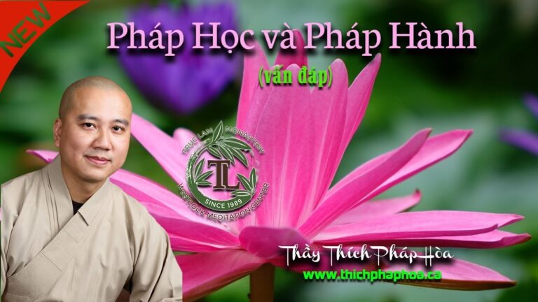 Thế Nào là Pháp Học và Pháp Hành? (vấn đáp) Thầy Thích Pháp Hòa