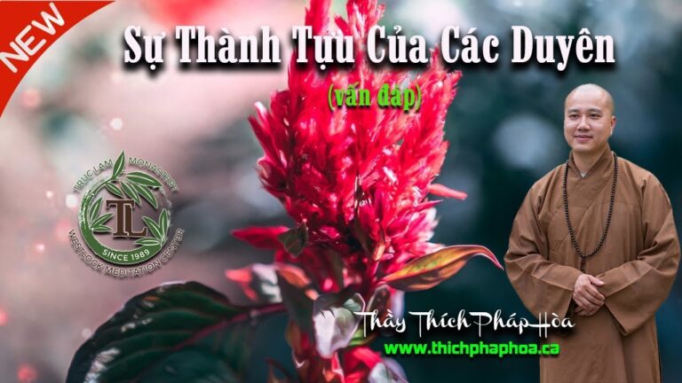 Sự Thành Tựu Của Các Duyên ( Vấn Đáp ) – Thầy Thích Pháp Hòa