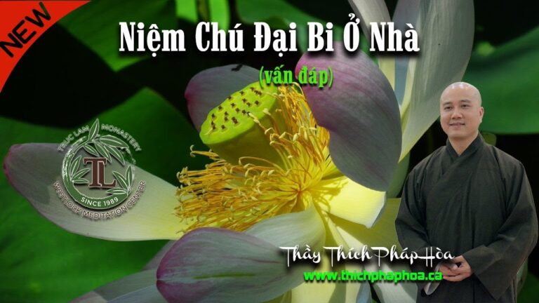 Niệm Chú Đại Bi Ở Nhà Có Tốt Không? (vấn đáp) Thầy Thích Pháp Hòa