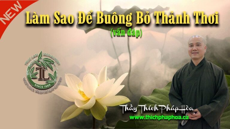 Làm Sao Để Buông Bỏ Thảnh Thơi? (Vấn Đáp 2019) – Thầy Thích Pháp Hòa