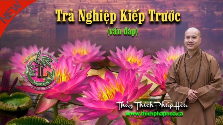 Nợ người kiếp trước, trả nợ cả kiếp này (vấn đáp) – Thầy Thích Pháp Hòa