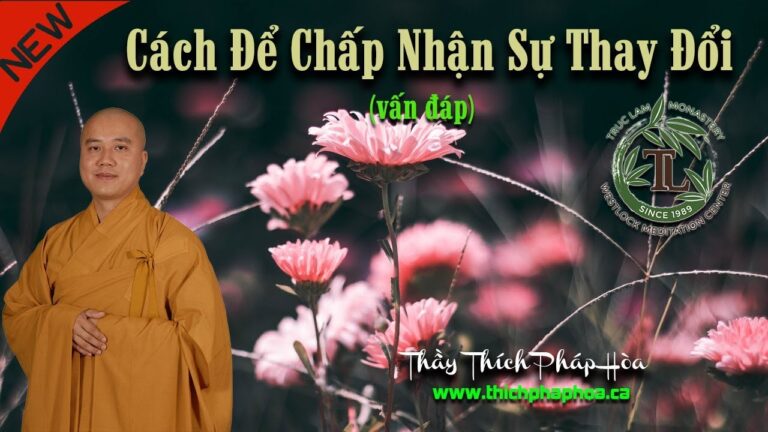 Cách Để Chấp Nhận Sự Thay Đổi (vấn đáp) – Thầy Thích Pháp Hòa