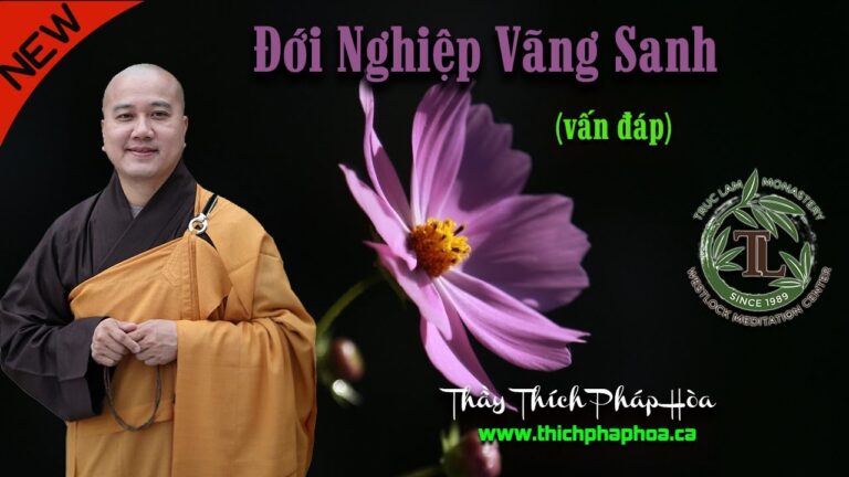 Đới Nghiệp Vãng Sanh là gì? – Thầy Thích Pháp Hòa vấn đáp