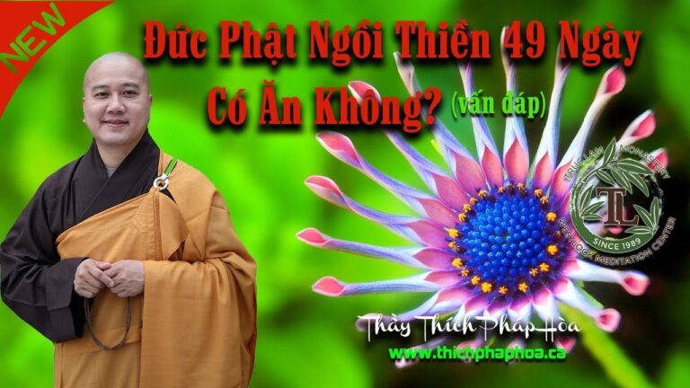 Đức Phật Ngồi Thiền 49 Ngày Có Ăn Không? – Thầy Thích Pháp Hòa vấn đáp