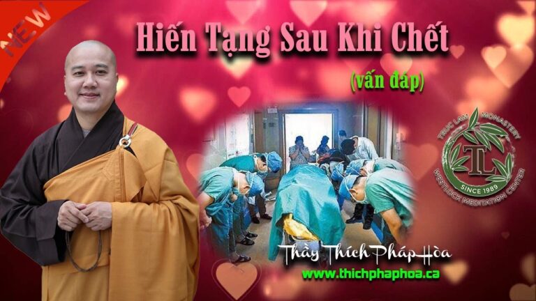 Hiến Tạng Sau Khi Chết – Thầy Thích Pháp Hòa vấn đáp