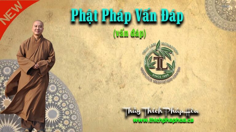 Phật Pháp Vấn Đáp 2019 rất hay – Thầy Thích Pháp Hòa