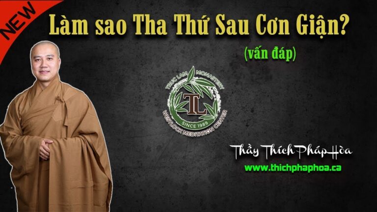 Làm sao Tha Thứ Sau Cơn Giận? (vấn đáp) – Thầy Thích Pháp Hòa