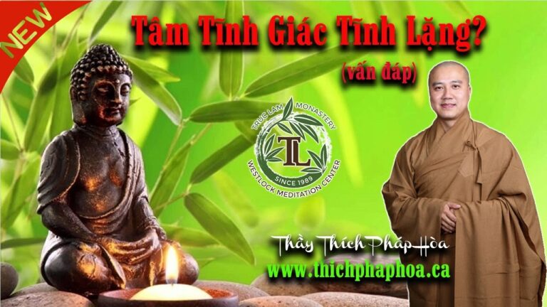 Làm sao cho Tâm Tĩnh Giác Tĩnh Lặng? (vấn đáp) – Thầy Thích Pháp Hòa