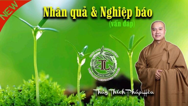 Nhân quả & Nghiệp báo (vấn đáp) – Thầy Thích Pháp Hòa