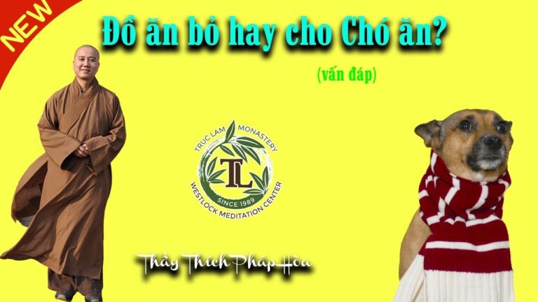 Đồ ăn bỏ hay cho Chó ăn? (vấn đáp) – Thầy Thích Pháp Hòa