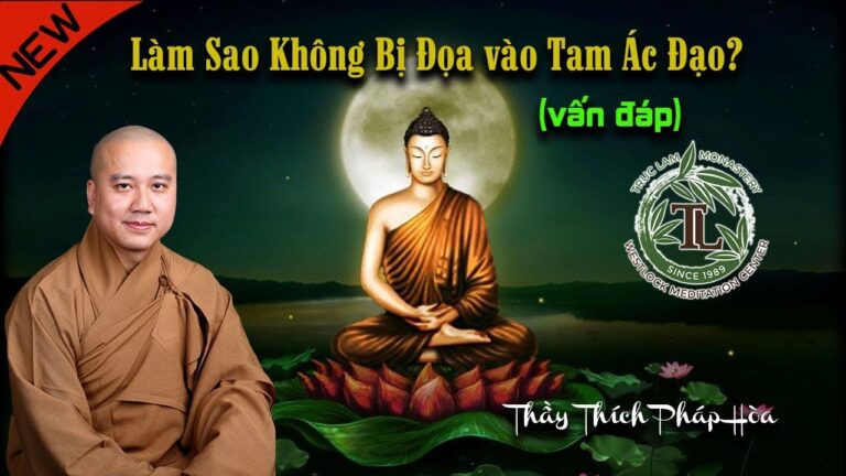 Giảng Nghĩa của Phật Tánh và Pháp Tánh (vấn đáp) – Thầy Thích Pháp Hòa