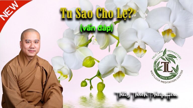 Tu Sao Cho Lẹ? (vấn đáp) – Thầy Thích Pháp Hòa