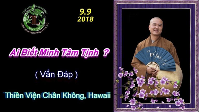 Ai Biết Tâm Mình Tịnh ? ( Vấn Đáp ) – Thầy Thích Pháp Hòa ( TV Chân Không , Ngày 9.9.2018 )