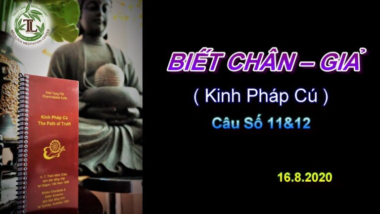 Kinh Pháp Cú – Câu số 11 & 12 – Biết Chân – Giả – Thầy Thích Pháp Hòa.Tv Trúc Lâm Ngày16/8/2020